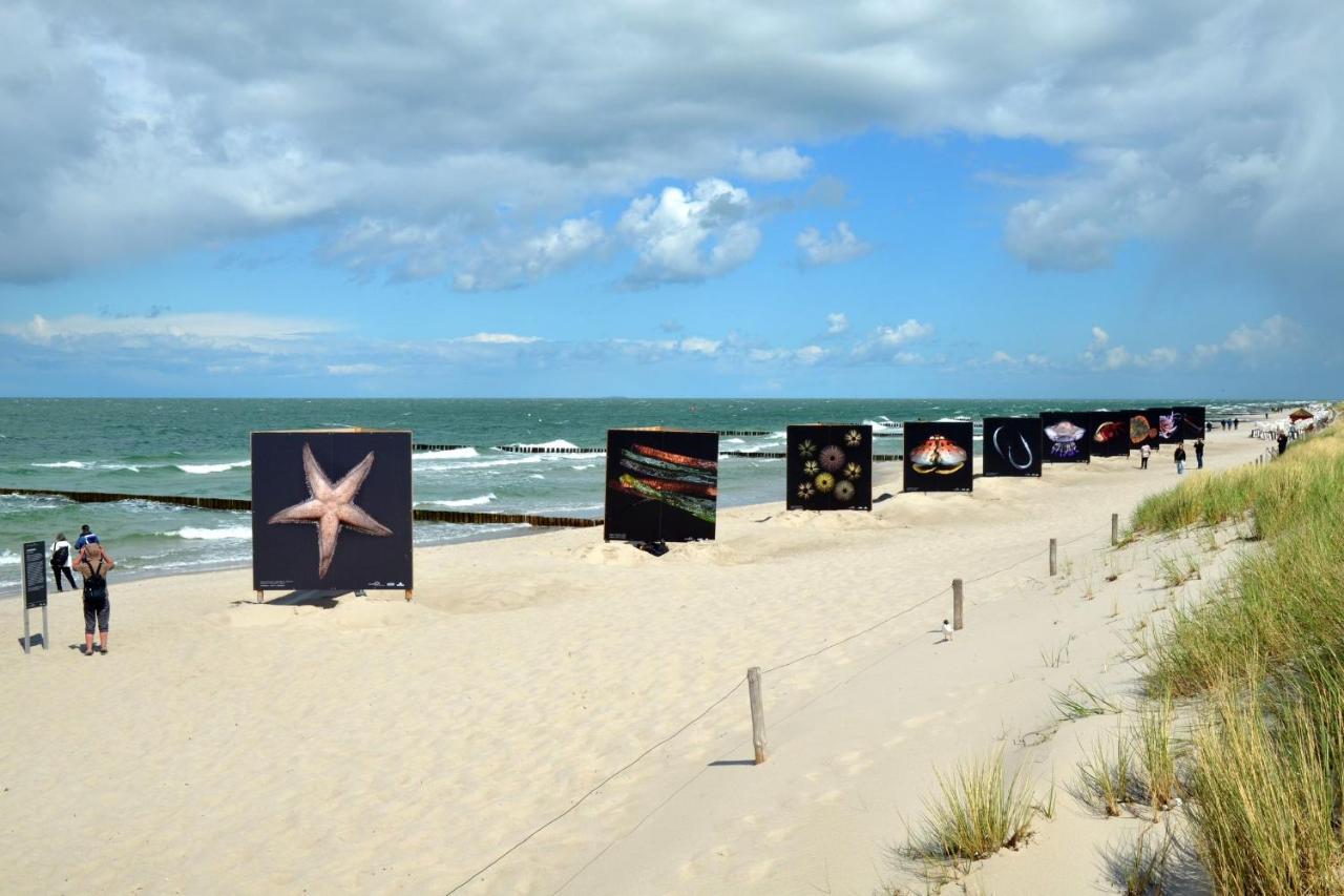 Seestr_54 Nr_304 Zingst Kültér fotó