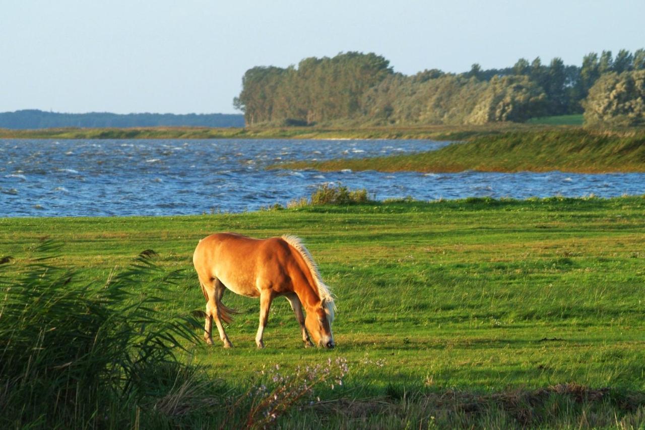 Seestr_54 Nr_304 Zingst Kültér fotó