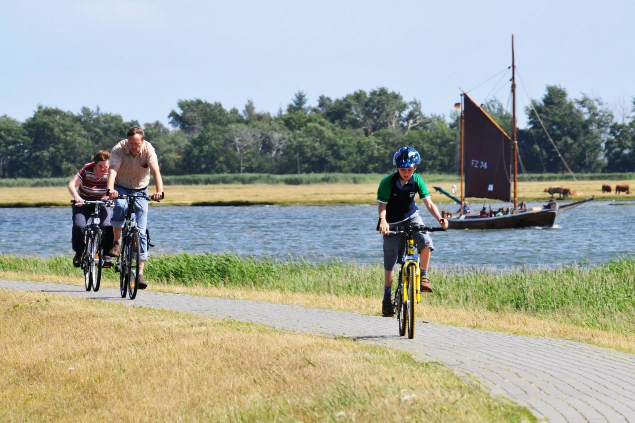 Seestr_54 Nr_304 Zingst Kültér fotó