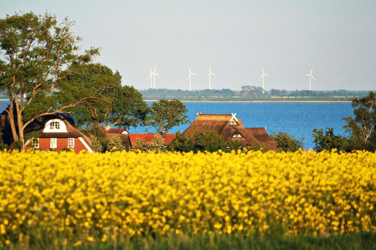Seestr_54 Nr_304 Zingst Kültér fotó